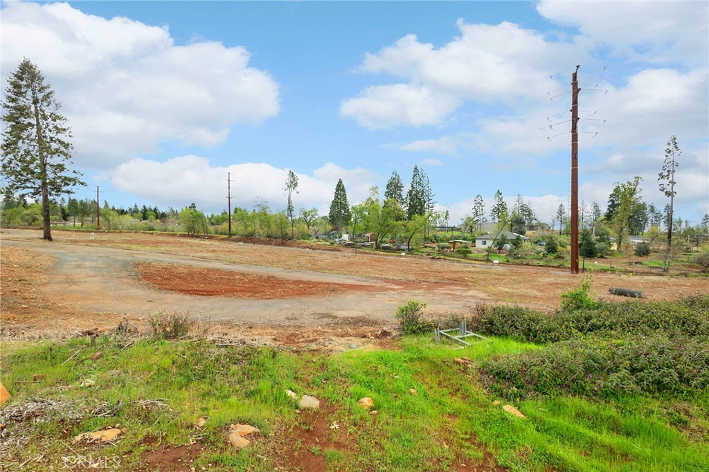 5798 Black Olive Drive