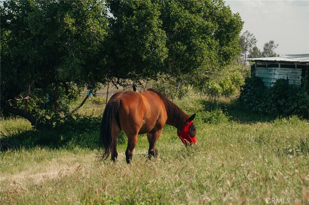 4829 Round Valley Ranch Road