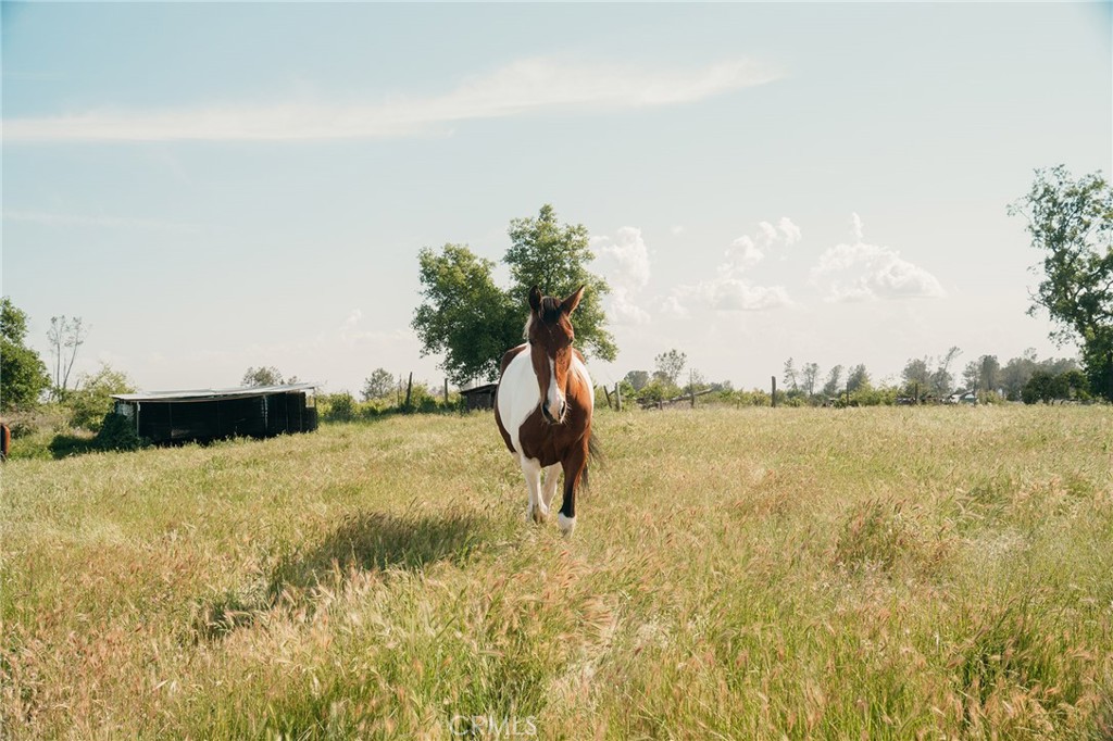 4829 Round Valley Ranch Road