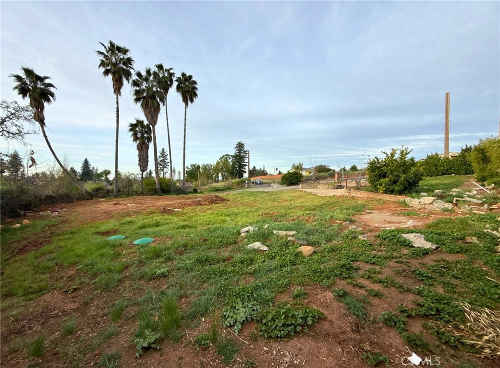 5564 & 5556 Foster Road