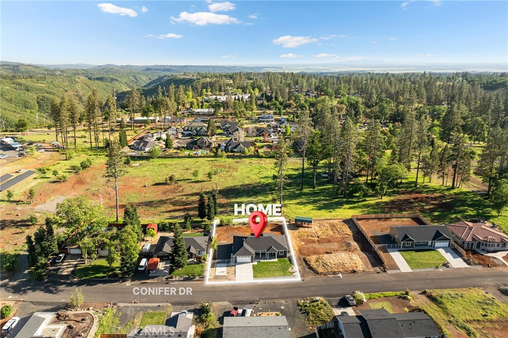 1870 Conifer