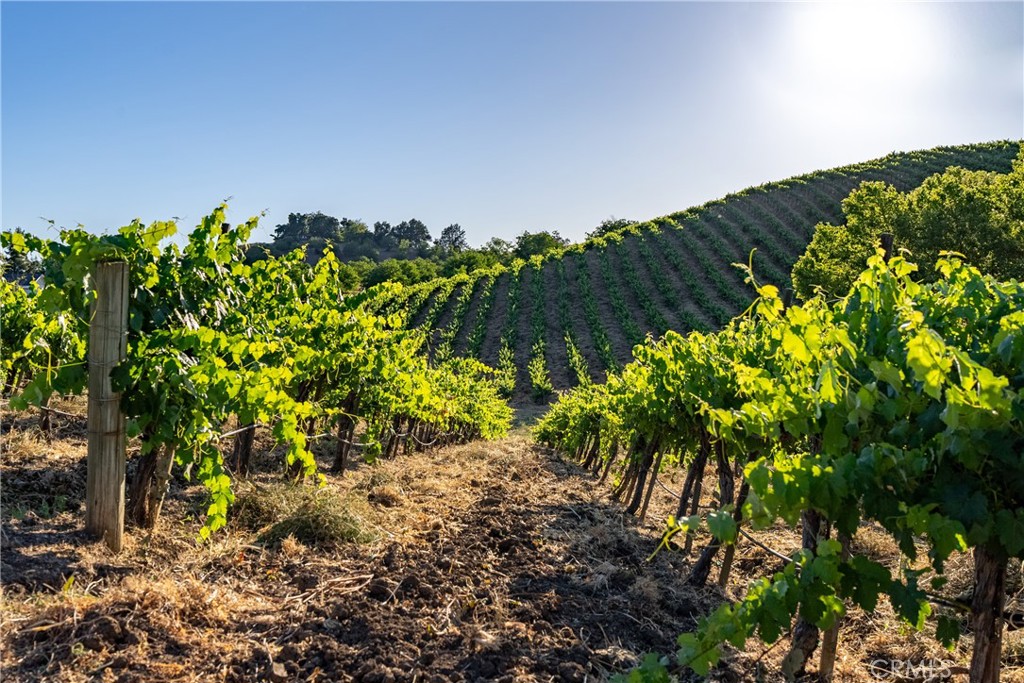 9325 Chimney Rock Road