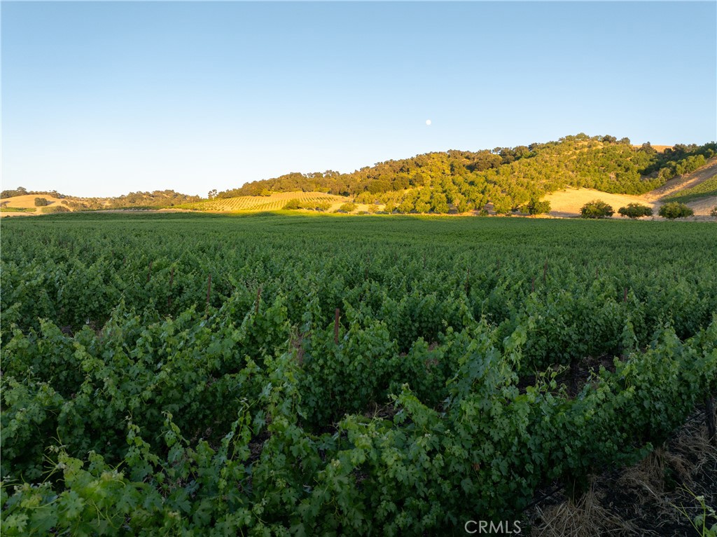 9325 Chimney Rock Road