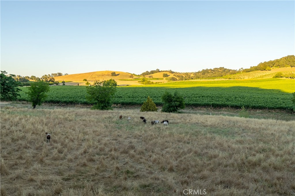 9325 Chimney Rock Road