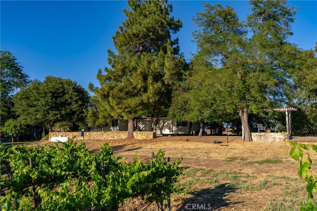 9325 Chimney Rock Road