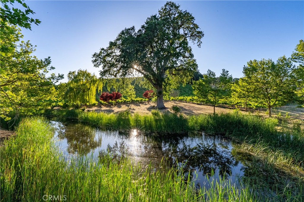 9325 Chimney Rock Road