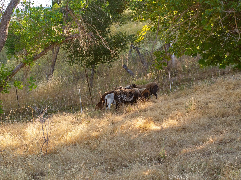 9325 Chimney Rock Road