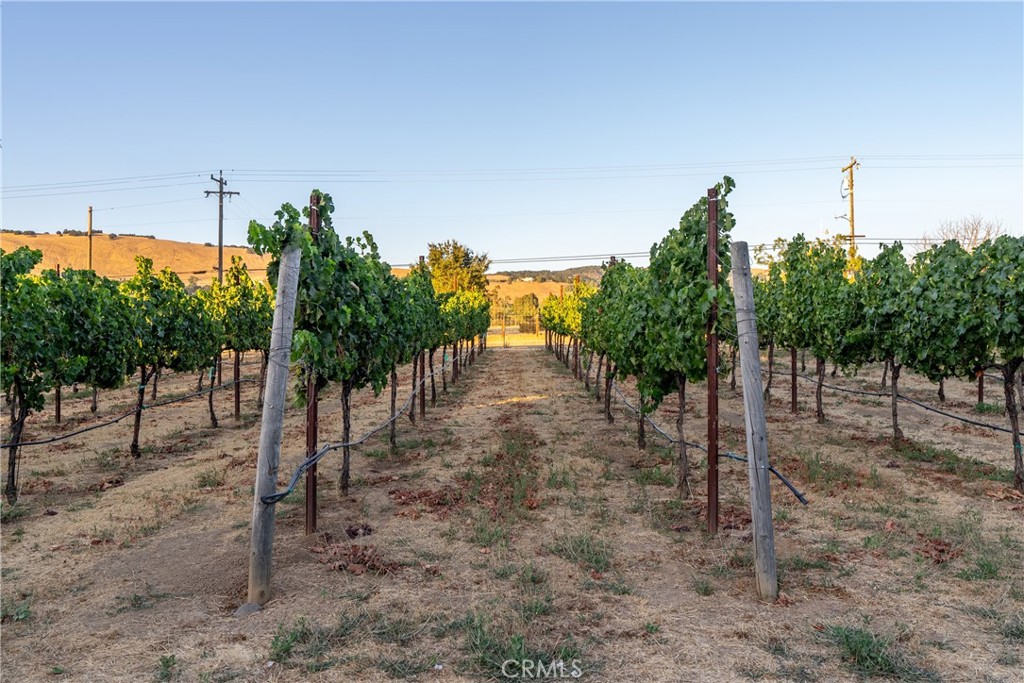 2143 Buena Vista Avenue