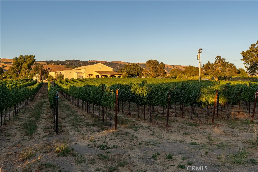 2143 Buena Vista Avenue