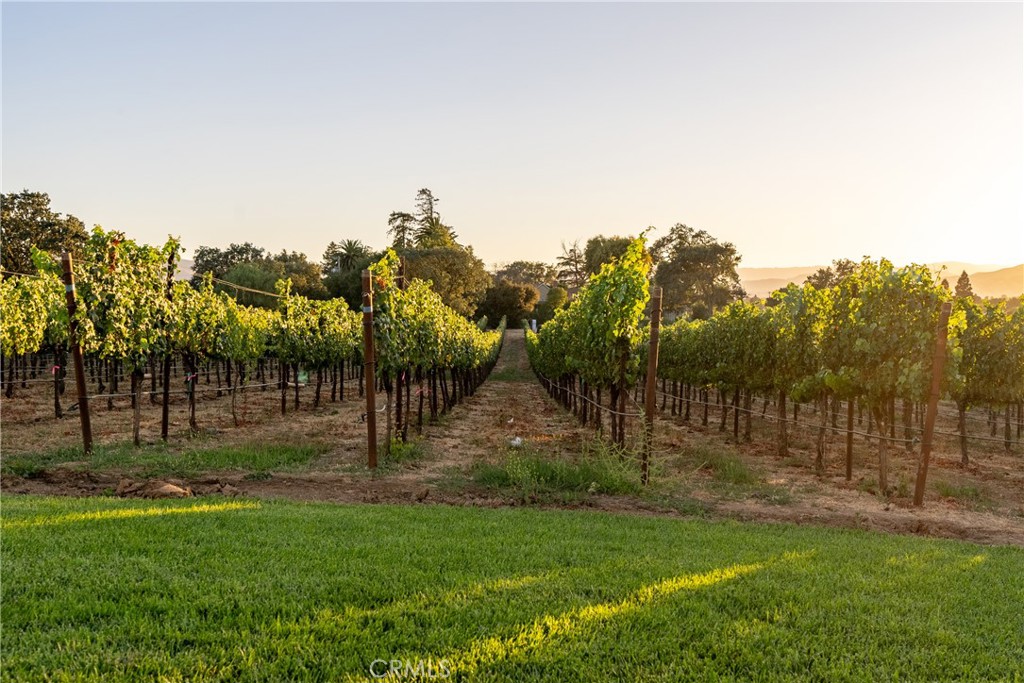 2143 Buena Vista Avenue