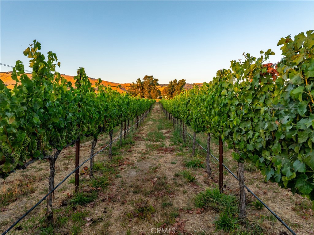 2143 Buena Vista Avenue