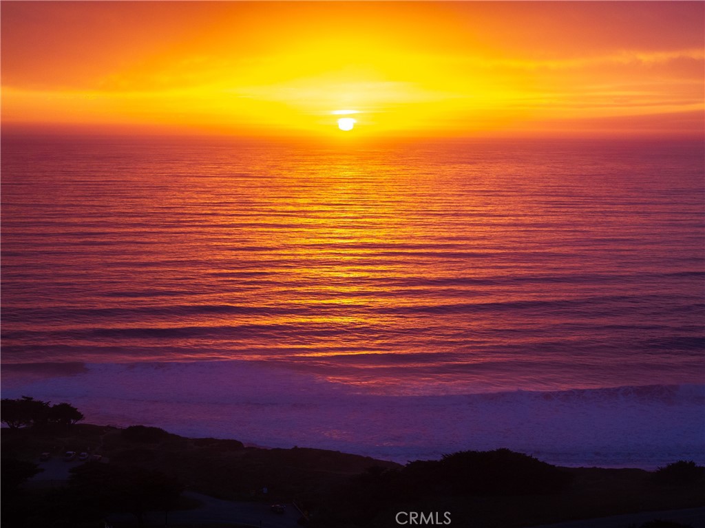 7432 Exotic Garden Drive