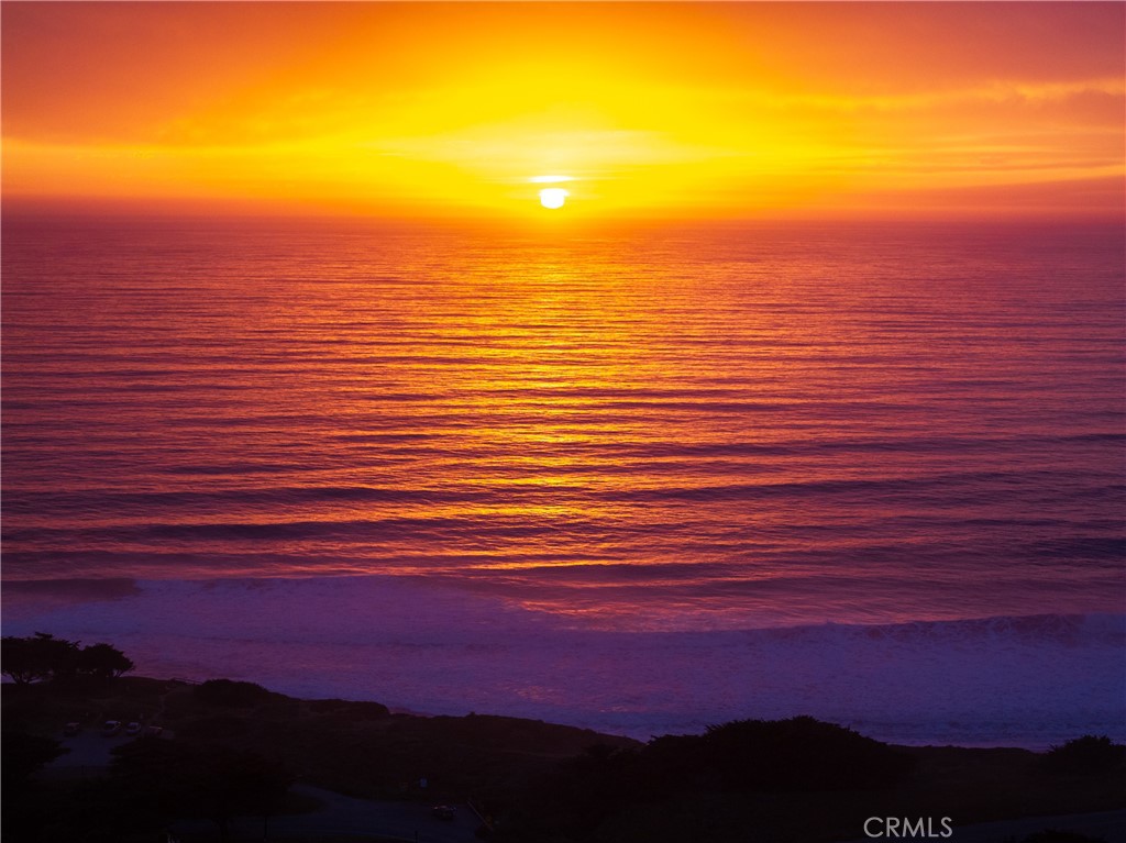 7432 Exotic Garden Drive