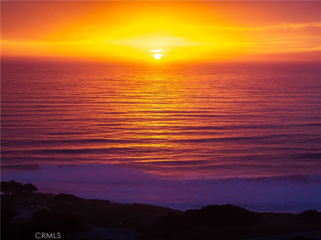 7432 Exotic Garden Drive