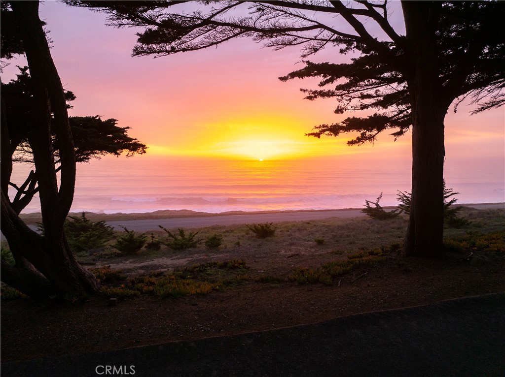 7432 Exotic Garden Drive