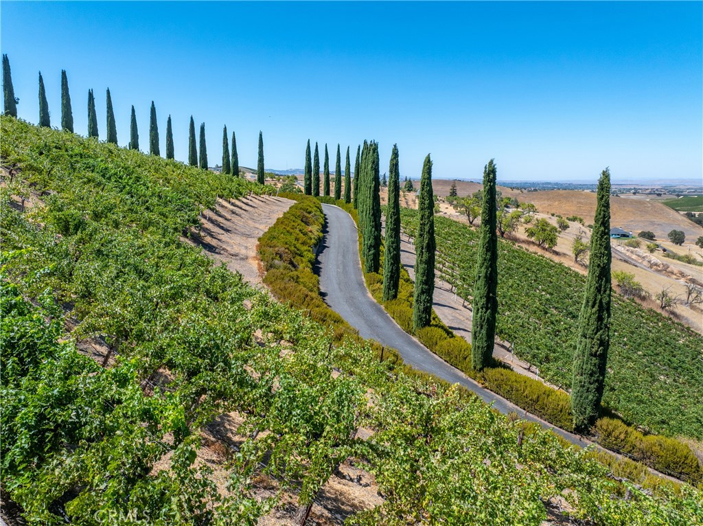 725 Spring Creek Way