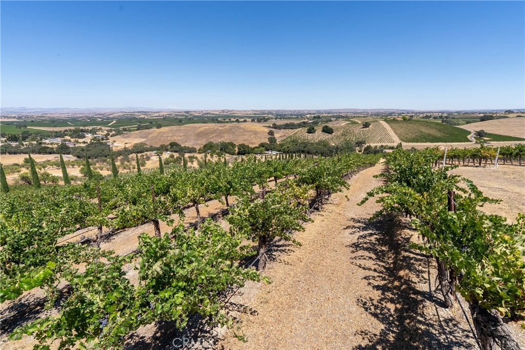 725 Spring Creek Way