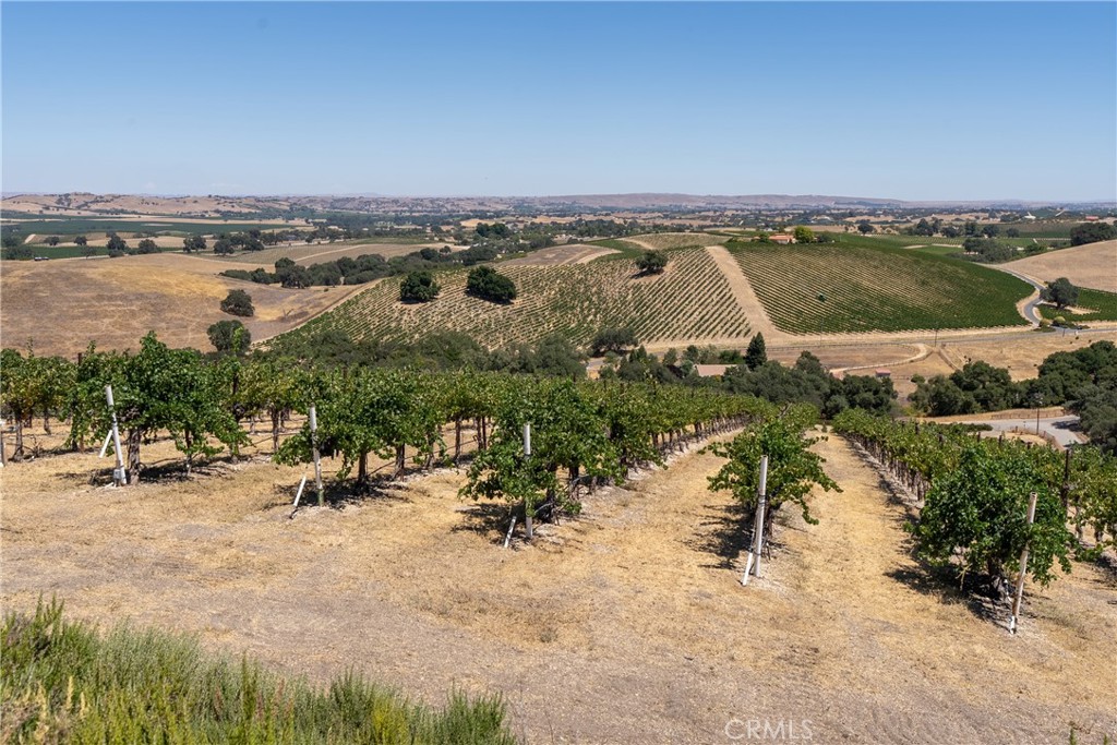 725 Spring Creek Way