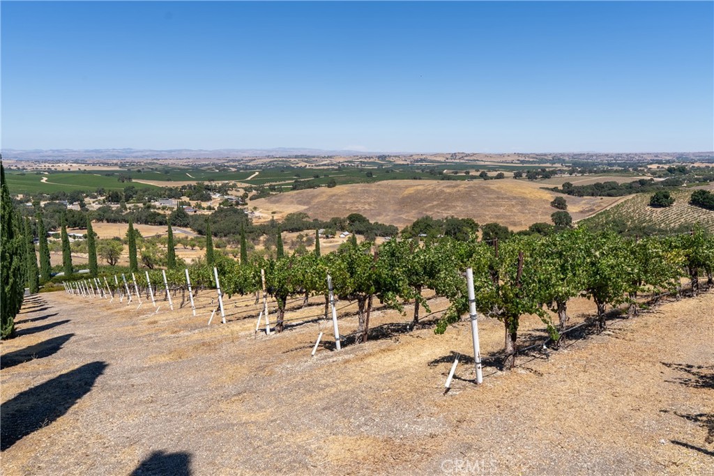 725 Spring Creek Way