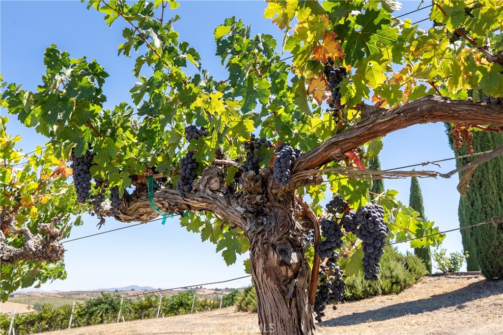 725 Spring Creek Way