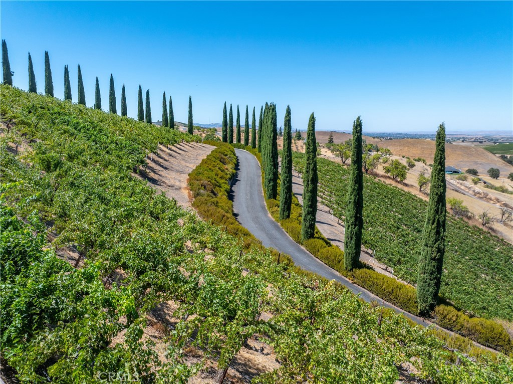 725 Spring Creek Way