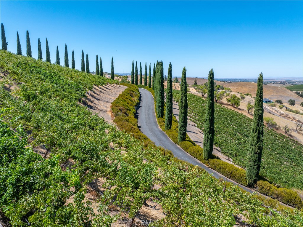 725 Spring Creek Way