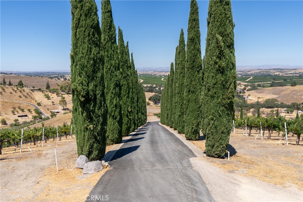 725 Spring Creek Way