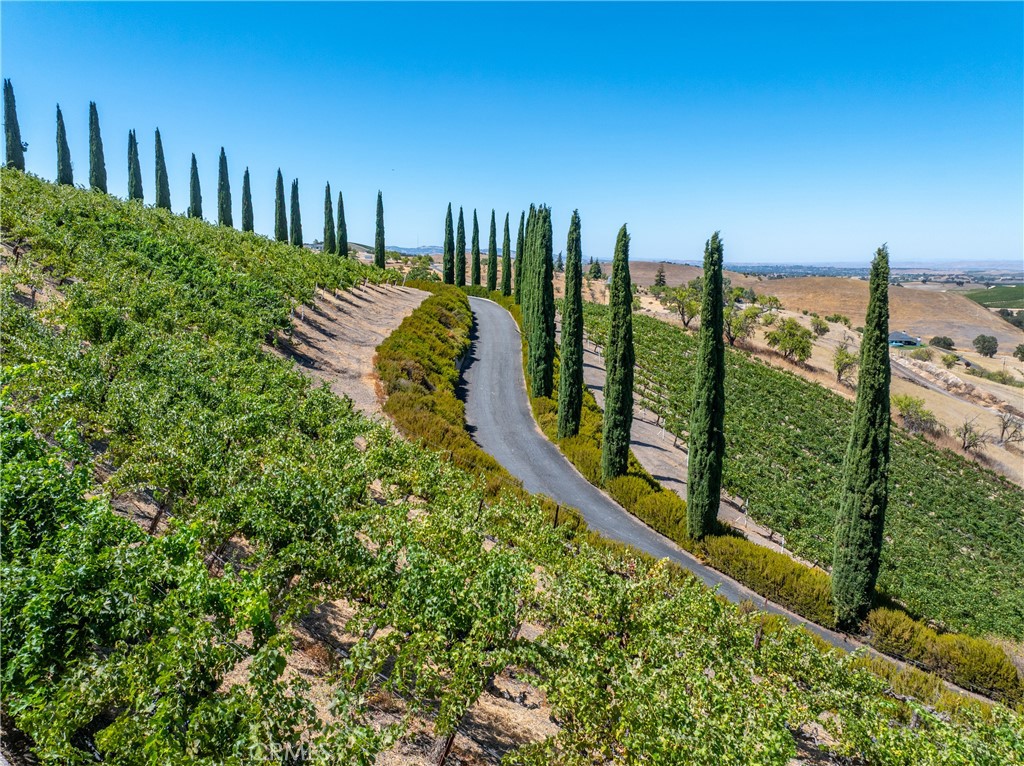 725 Spring Creek Way