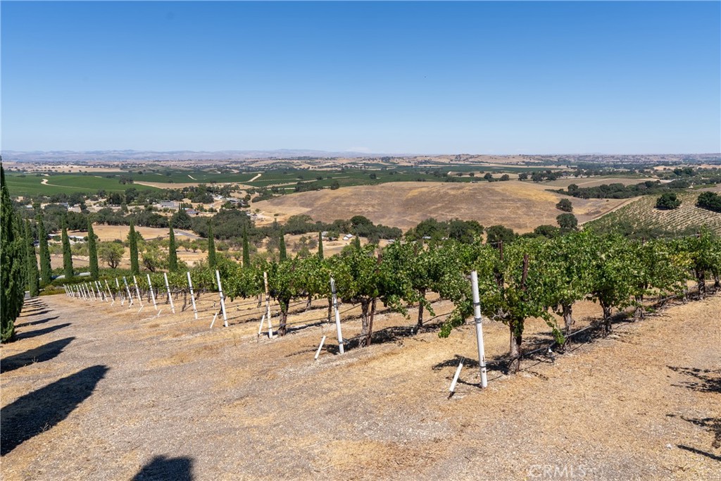 725 Spring Creek Way