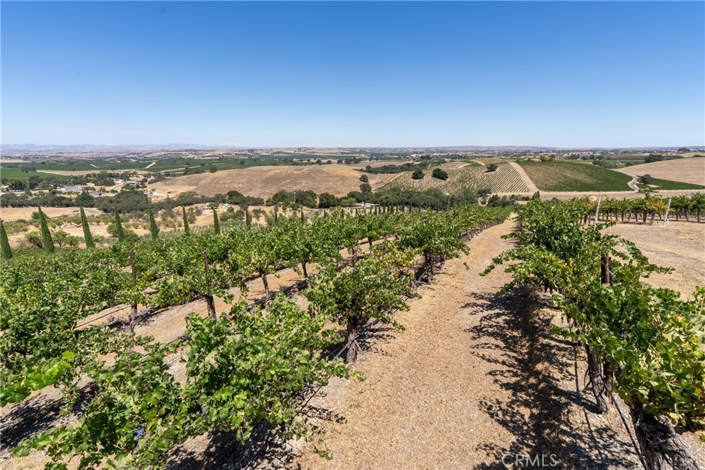 725 Spring Creek Way