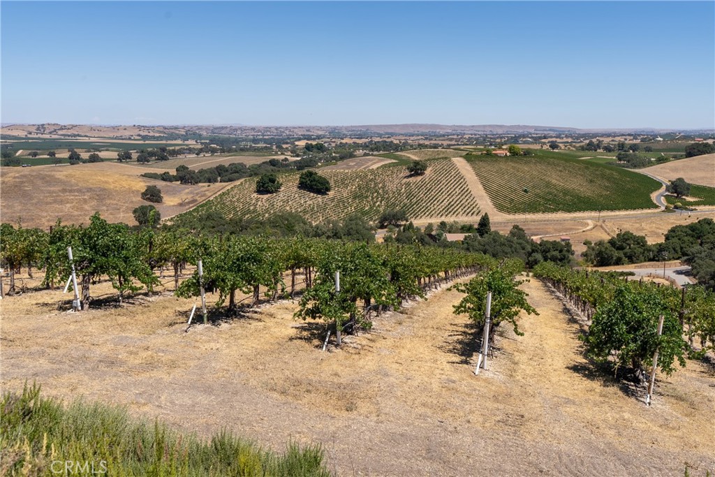 725 Spring Creek Way