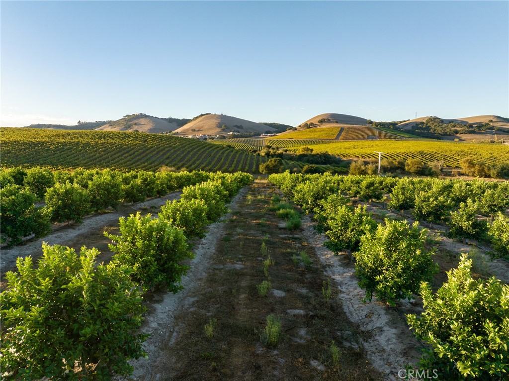 5502 Los Ranchos Road