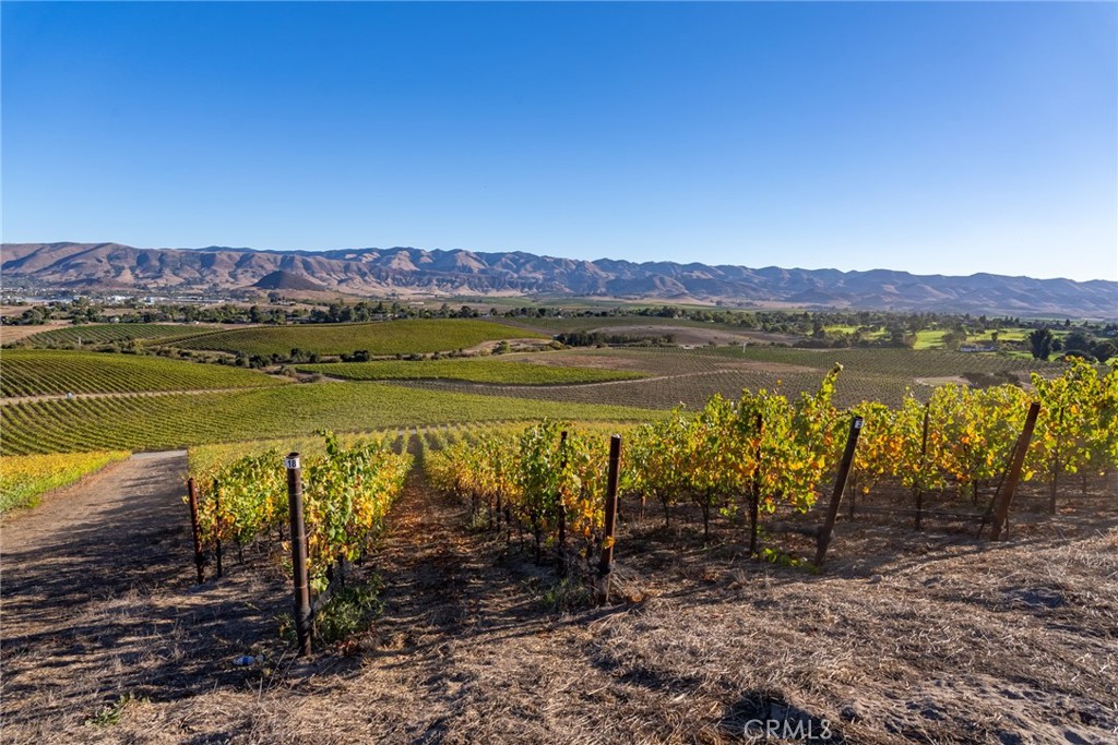 5502 Los Ranchos Road