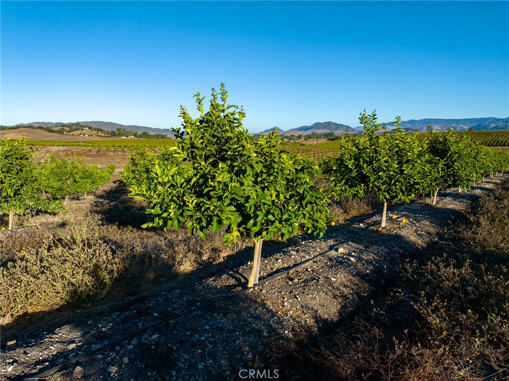 5502 Los Ranchos Road