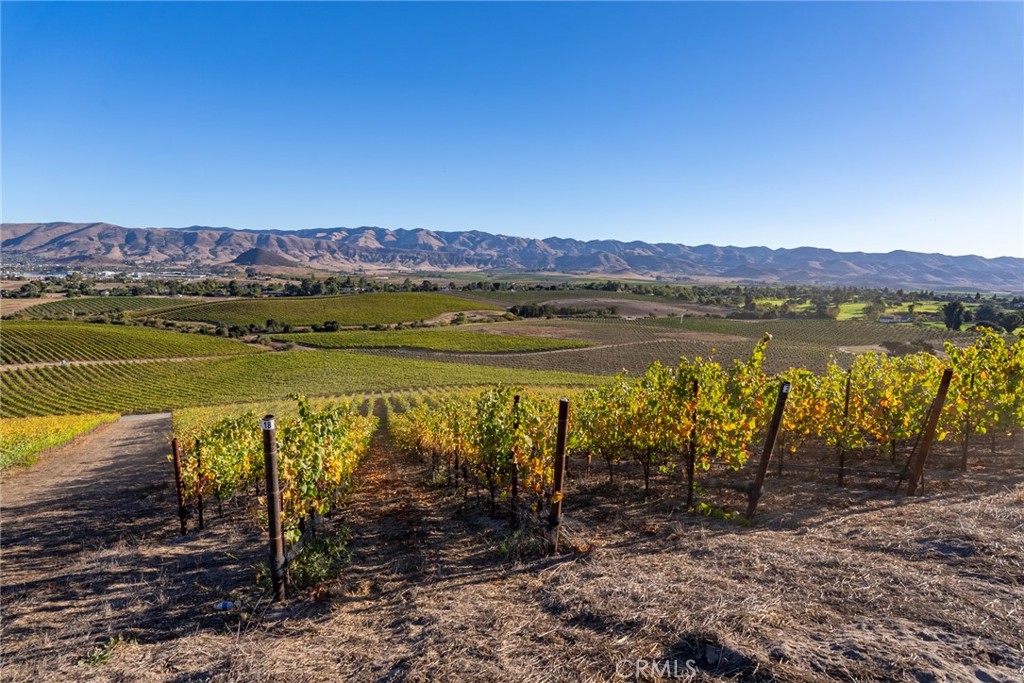 5502 Los Ranchos Road