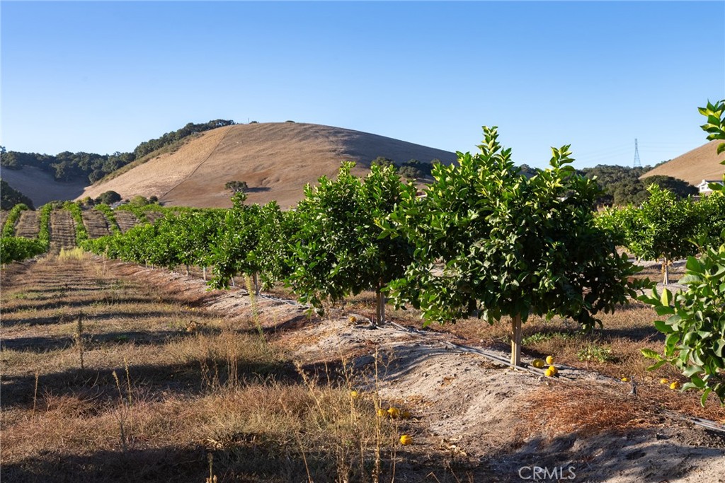 5502 Los Ranchos Road