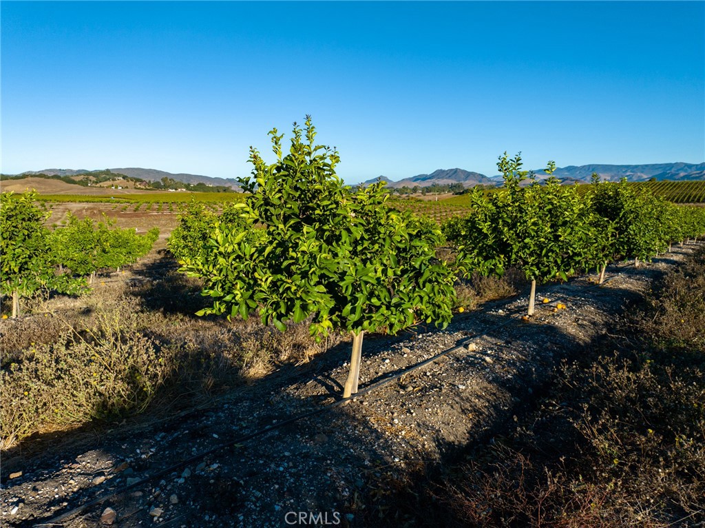 5502 Los Ranchos Road
