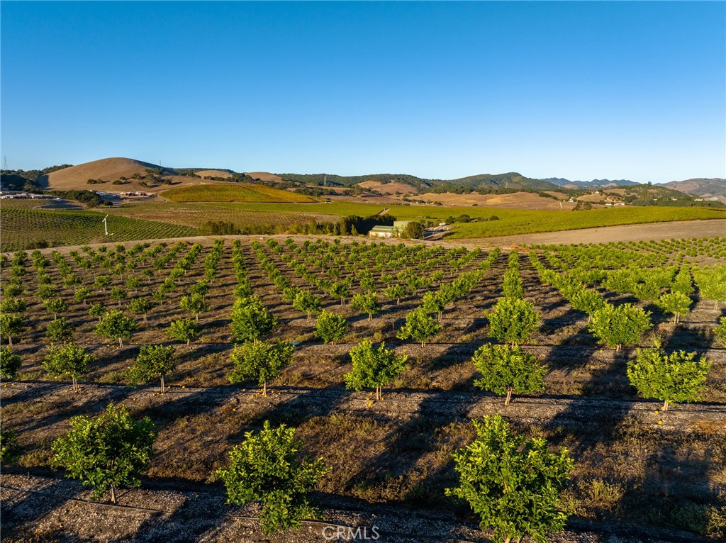 5502 Los Ranchos Road