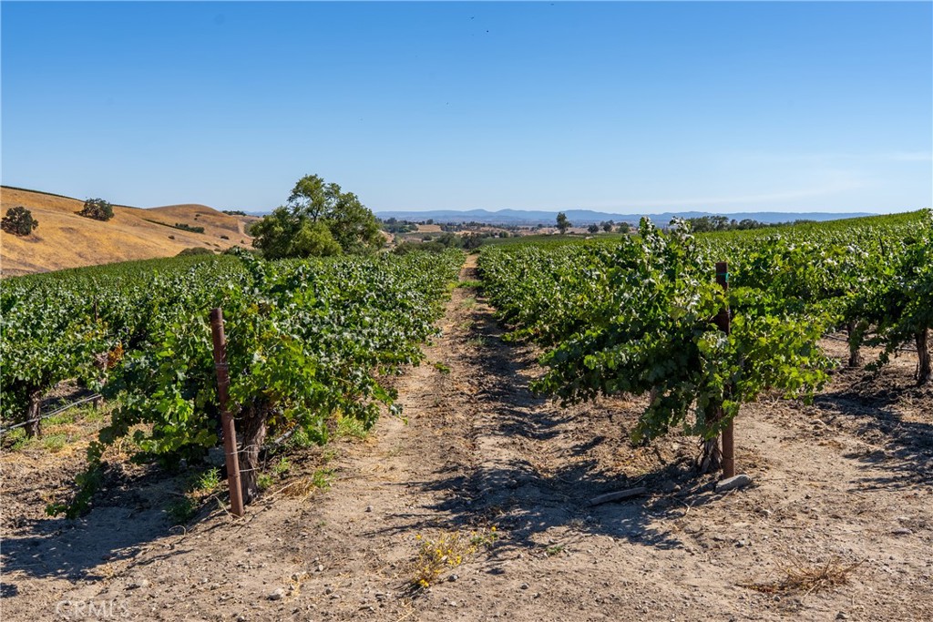 5790 Hog Canyon Road