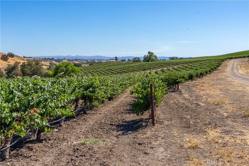 5790 Hog Canyon Road