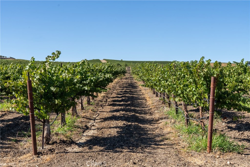 5790 Hog Canyon Road