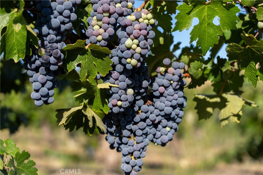 5790 Hog Canyon Road