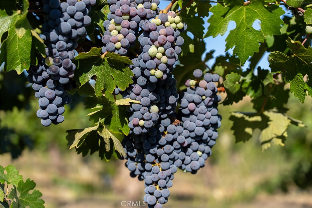 5790 Hog Canyon Road