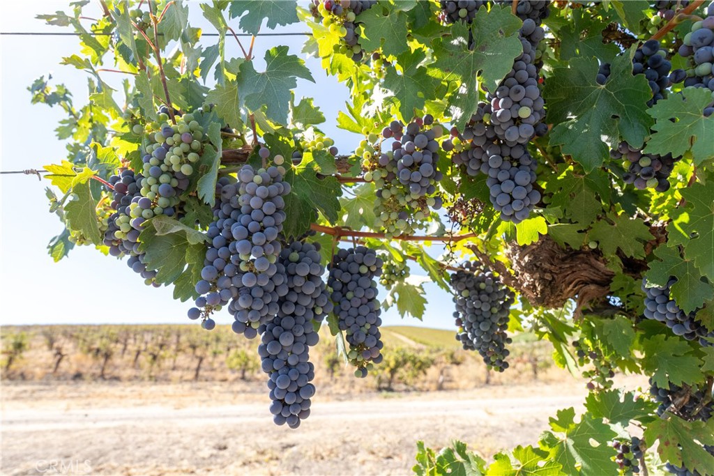 5790 Hog Canyon Road