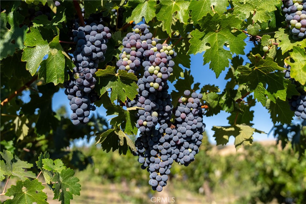 5790 Hog Canyon Road