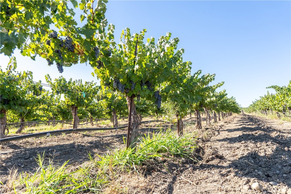 5790 Hog Canyon Road