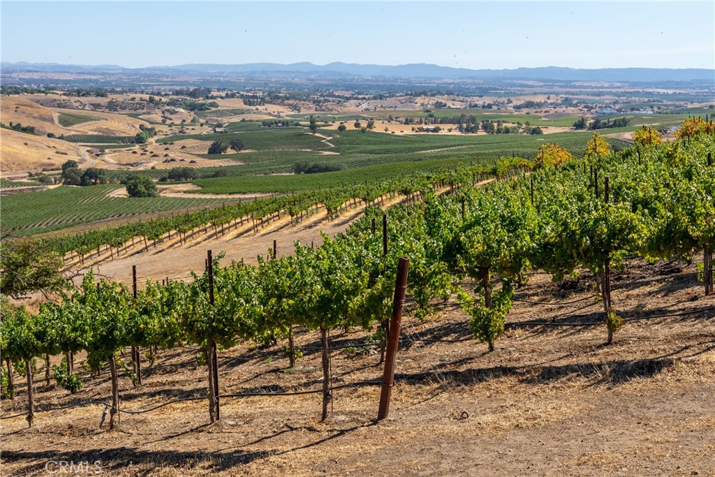 5790 Hog Canyon Road