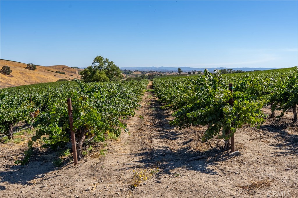 5790 Hog Canyon Road