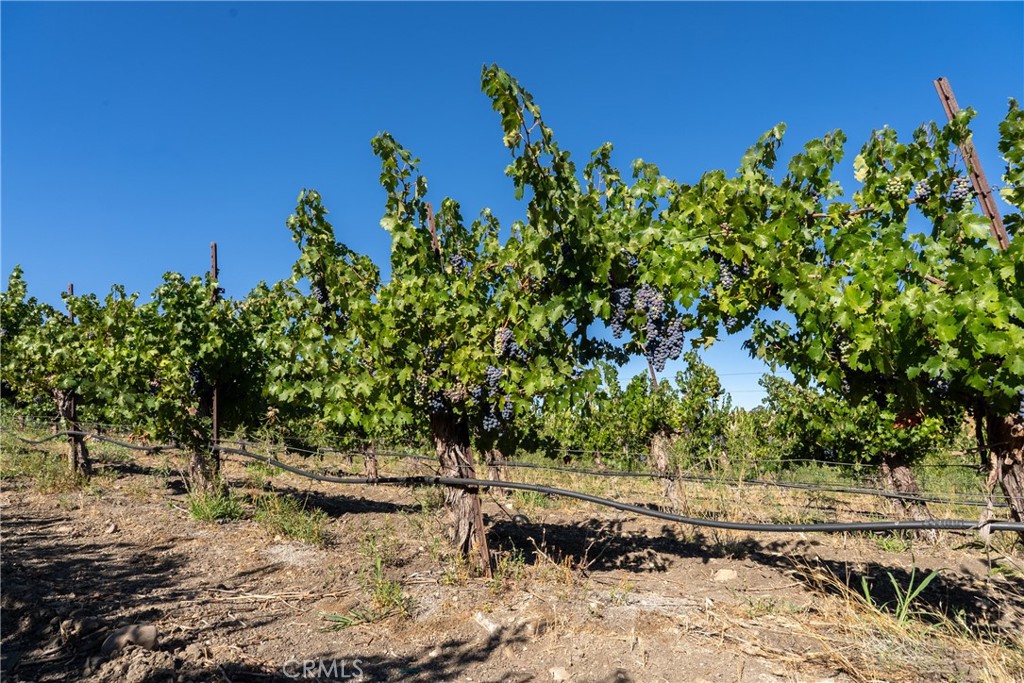 5790 Hog Canyon Road