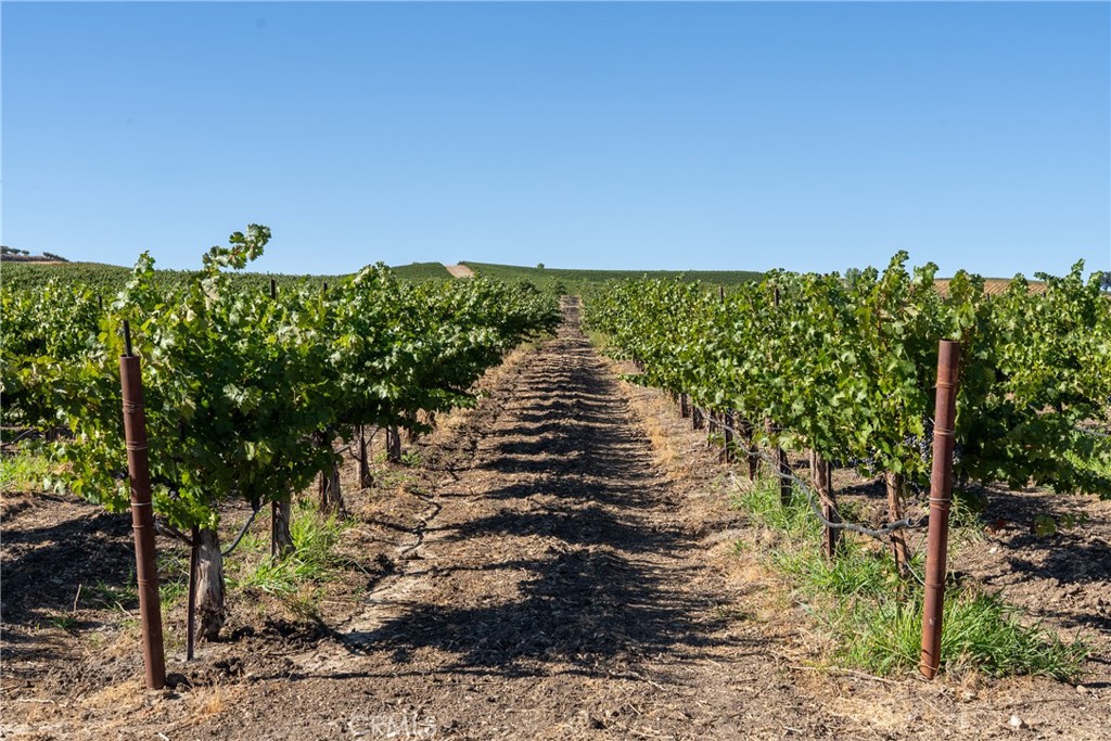 5790 Hog Canyon Road